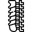 ستون فقرات و کمر